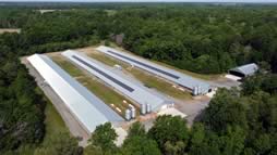 DCA Applauds Simpler Permit Process for No-Land Chicken Farms in Md.